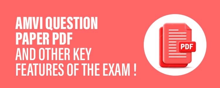 AMVI_Qs_Paper