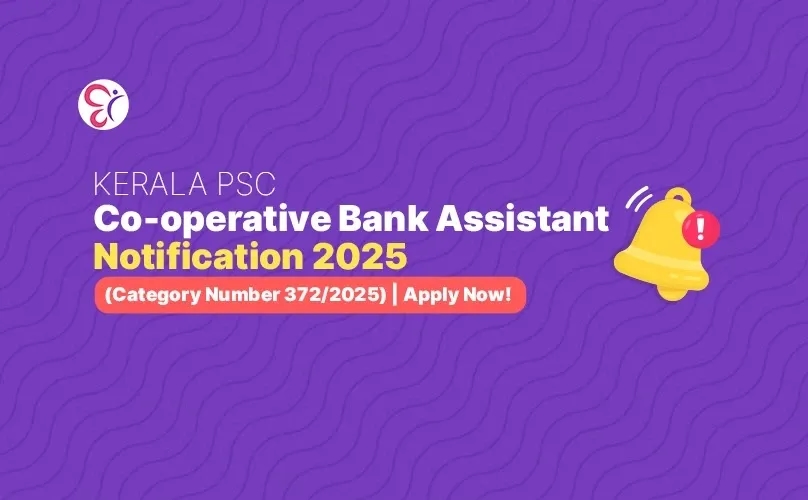 Competitive Cracker Image