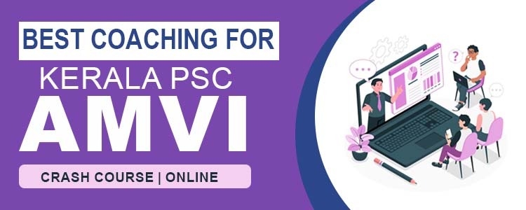 AMVI_Bestcoaching